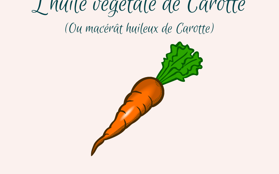 L’huile végétale de carotte