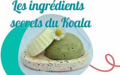 Les ingrédients secrets du Koala