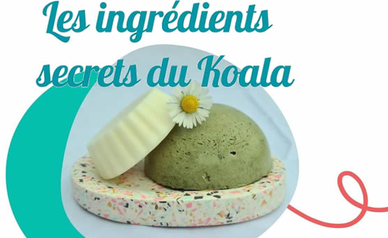 Les ingrédients secrets du Koala